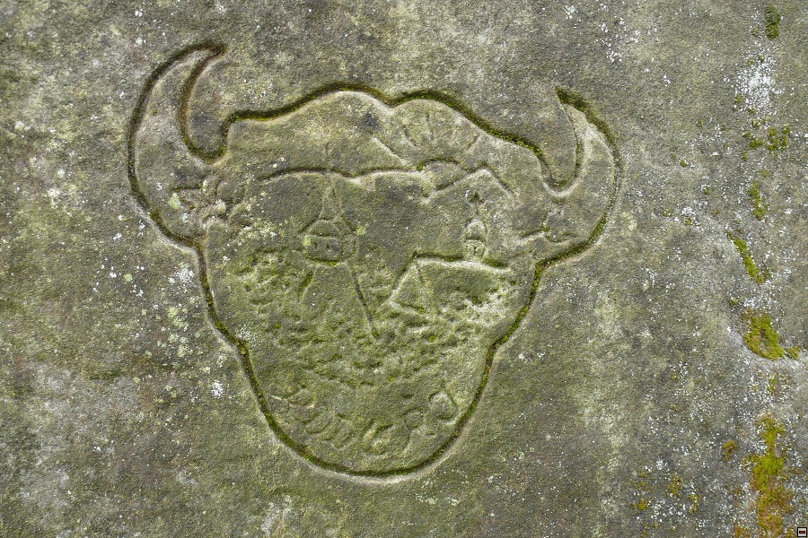 img00006.jpg