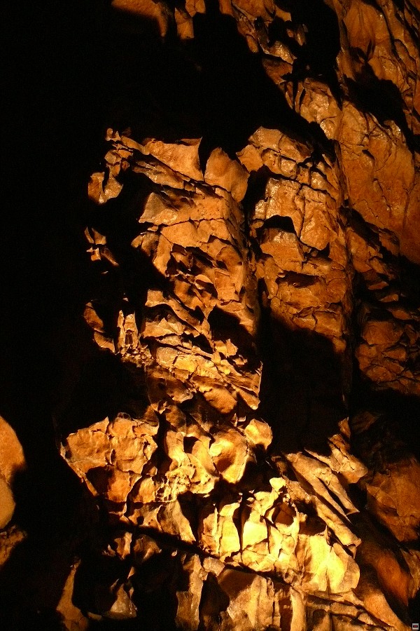 img00004.jpg