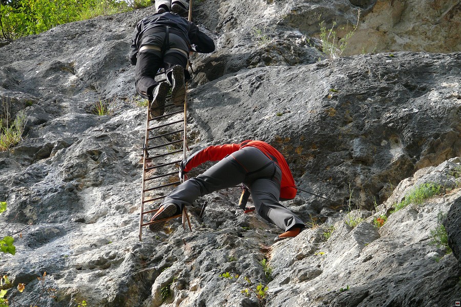img00007.jpg