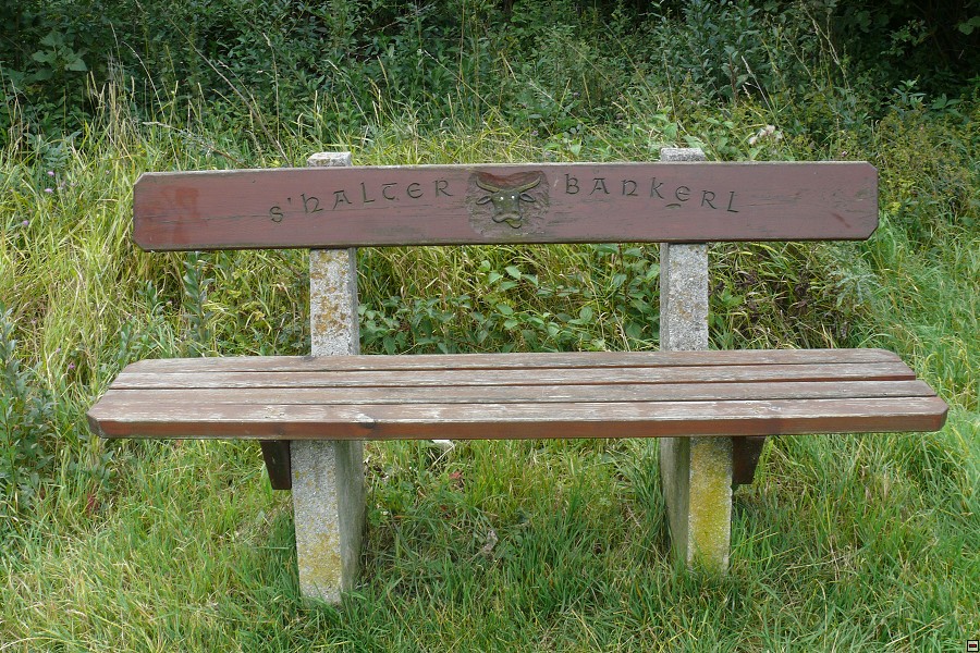 img00021.jpg