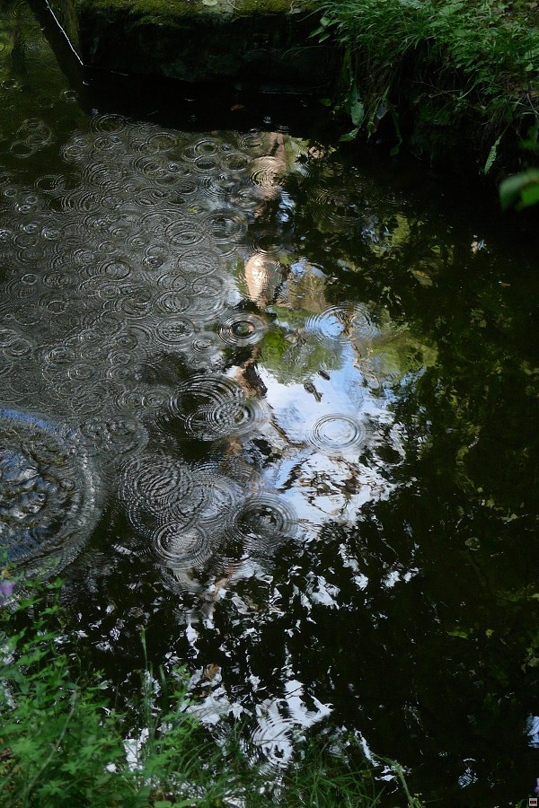 img00029.jpg