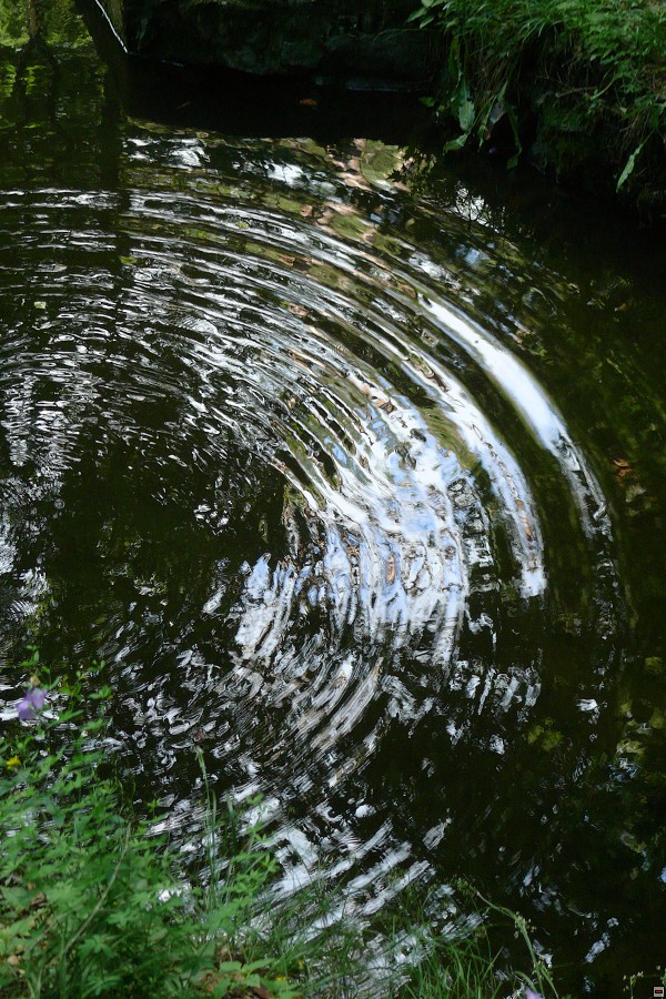 img00030.jpg