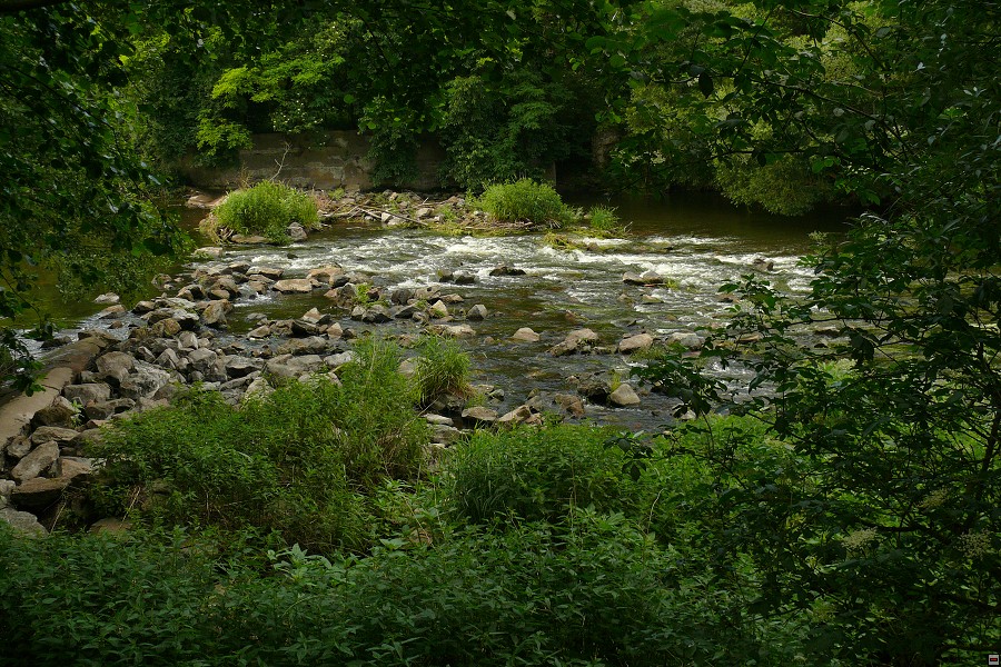 img00032.jpg