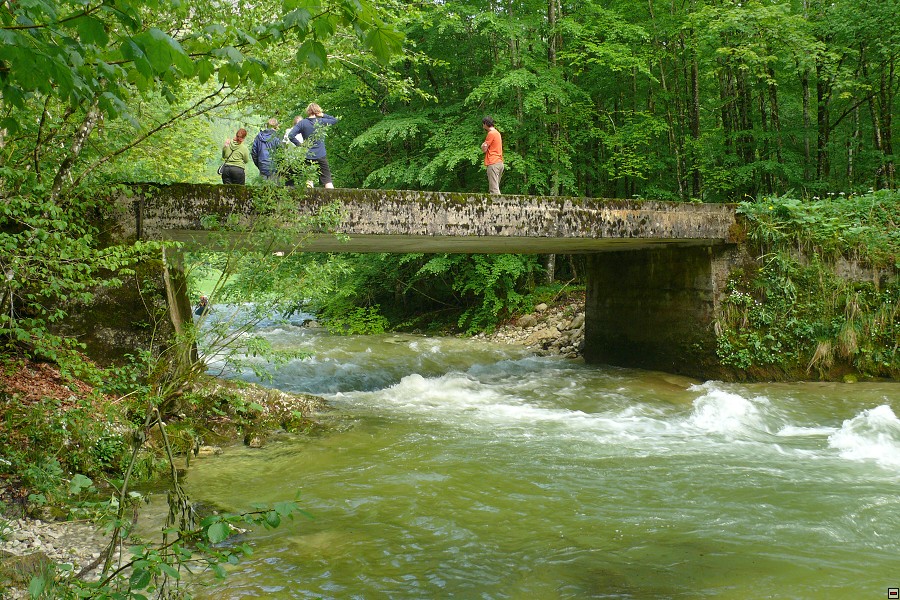 img00024.jpg