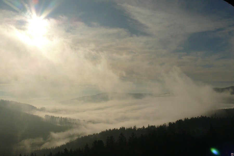 img00004.jpg