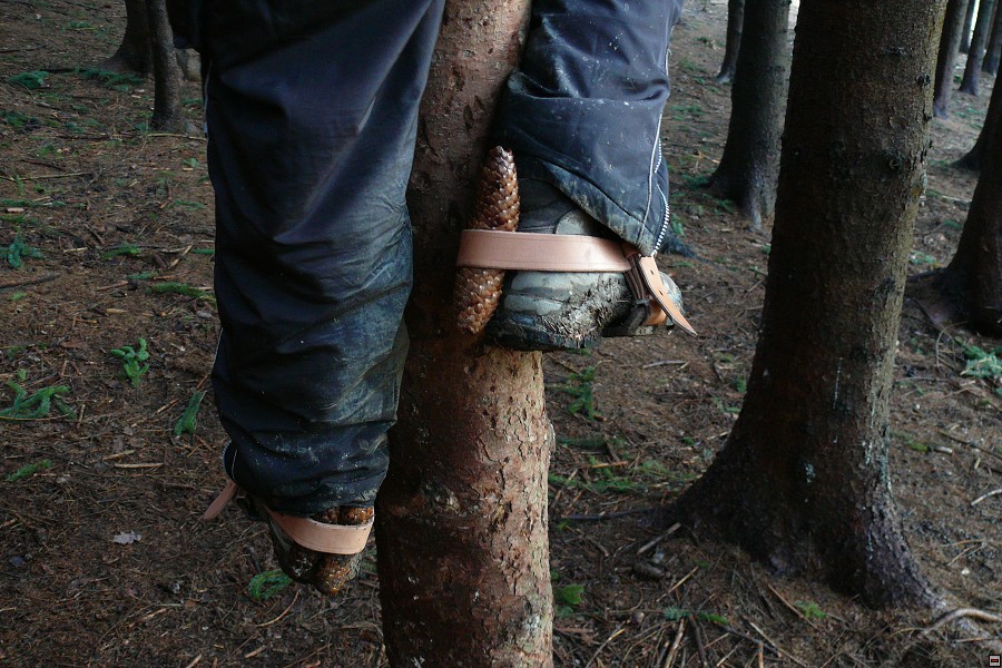 img00020.jpg