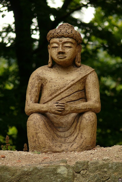 img00024.jpg