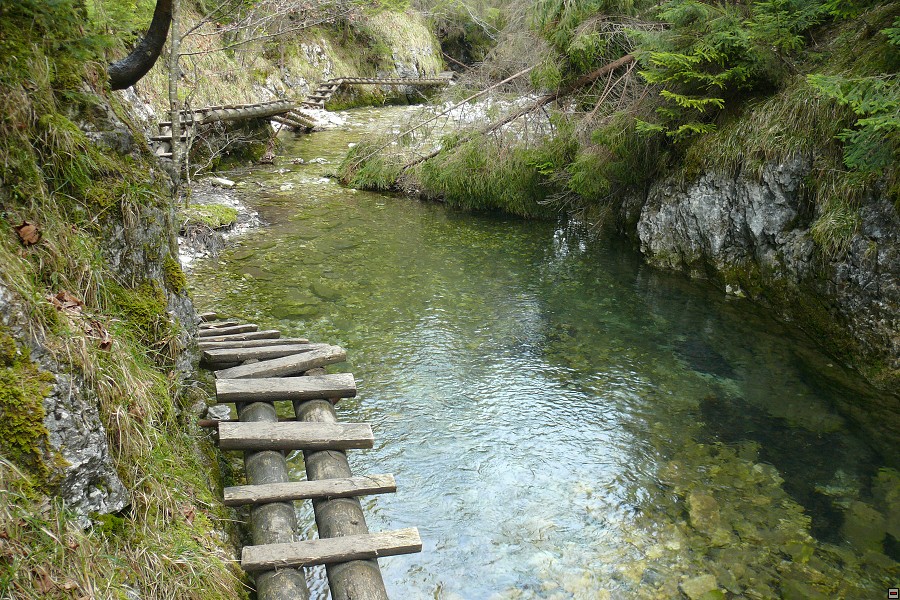 img00026.jpg