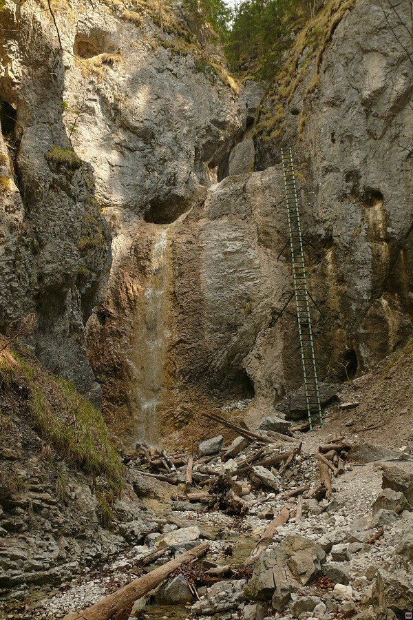img00041.jpg