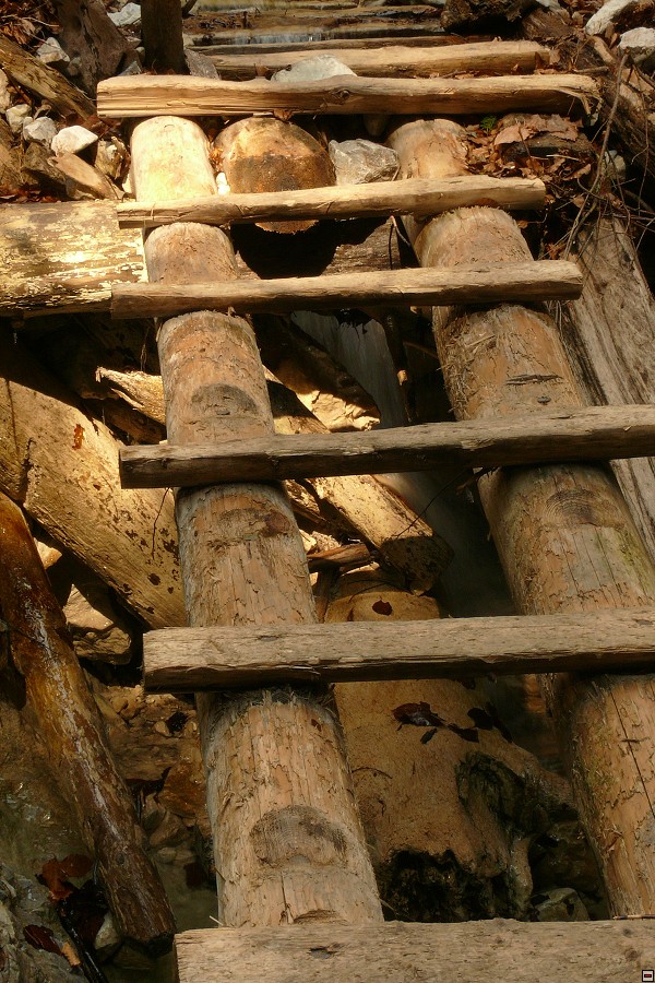 img00048.jpg